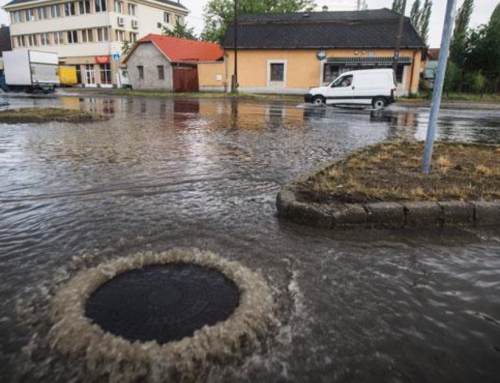 Kecskemét seeks blue-green answers: the role of rain gardens in urban rainfall management