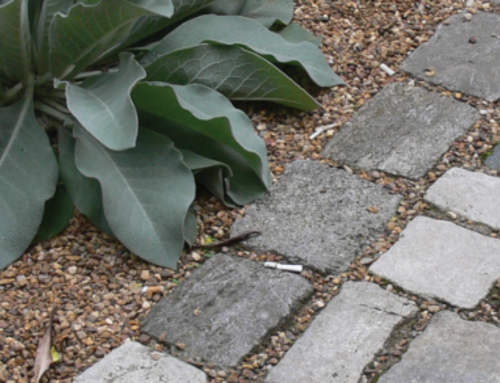 Városi eső: Elvezessük vagy megtartsuk?