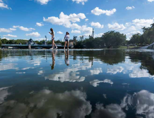 Amikor a város megtanul bánni a vízzel – mi az a vízérzékeny tervezés?