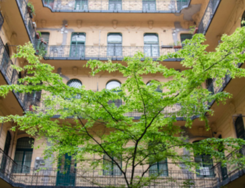 A város rejtett zöldjei – mi minden rejlik a belvárosi belső udvarokban?